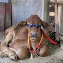 연수경찰서내 | 브라이튼 어학연수 27주차 | EF 브라이튼 | 런던뚜벅이후기 | 얼마안남은 학교생활