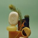 스킨N스칼프 이미지