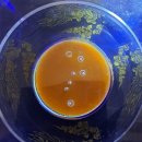 온천3동-14 이미지