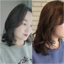 103 | 서판교 여자파마 잘하는곳 대장동미용실 103라운지 후기