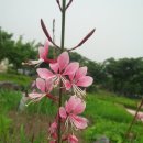 연육교공인중개사사무소 이미지