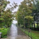 덕동산공원1 이미지