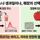명과일