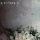 아이엠데이지