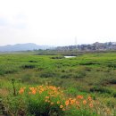 남관초등학교 | 이순신 장군 백의종군로를 걷다-전북권(4)신리~임실읍