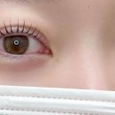 채움속눈썹 이미지