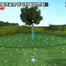 정직골프 네이버블로그