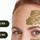 중앙동230 이미지