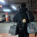 김천축산농협 동물병원 | 유럽 EU국 반려동물 출국, 고양이랑 오스트리아 비엔나 가기(1) - 검역증 발급