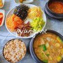 편가네 된장 | 강화 애견동반맛집 편가네된장 한식 강된장 보리밥 된장찌개