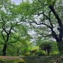 ♧. 하나님께서는 사람이 할 수 없는 일도 하실 수 있는 전능자입니다. 이미지