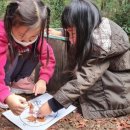 저청초등학교 병설유치원 이미지