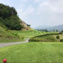 아리솔cc 이미지