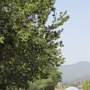 죽산보건지소 | 전남 장성 삼서보건지소 옆 황금식당