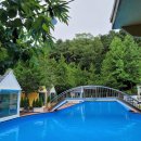 자연나라 이미지