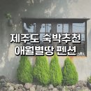 지내마을길 | 제주도 애월 곽지해수욕장 근처 독채펜션 &#39;애월별땅&#39; 내돈내산 후기