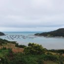 청산도 느림민박 이미지