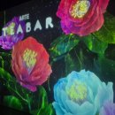 아르떼 티(Arte tea) 이미지
