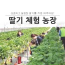조하농장