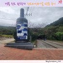 와인터널주차장 | 경북 청도 관광지 청도와인터널 방문 후기(주차장/먹거리/특산품/입장료)