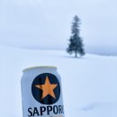 한성기모 | 삿포로 1월 날씨 및 겨울 여행 준비물 그리고 꿀팁