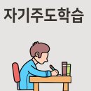 세움컨설팅 이미지