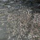 하동남부발전소 하동화력본부 이미지