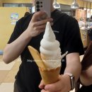수염고래언덕패티 | 떠난 북해도 먹방 투어! (1) / 오도리공원, 사계체언덕, 비에이마을, 청의호수, 흰수염고래폭포, 팜토미타
