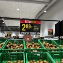 세이브모텔 이미지