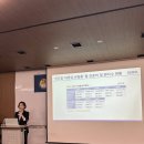 분당-240 이미지