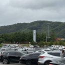 굿독 애견미용클럽 | [비발디캠핑파크 노일점] 홍천 애견동반 캠핑장 너나울 5번 사이트 후기