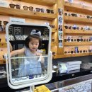 글래드아이안경원 이미지