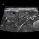 해피동물병원 이미지