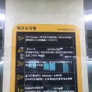 독한견 | [반려견유치원] 강아지 사회성 키우기, 플레이독 배곧애견유치원 후기