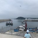 동해지방해양수산청 이미지