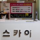 스카이바디케어 네이버블로그