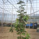 (주)한알 이미지