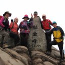 영천초등학교 이미지