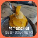 망고카서비스 | 제주 카페 추천 먹쿠슬낭카페, 공항 근처 망고빙수 맛집 후기