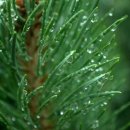 솔밭근린공원 이미지