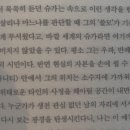 독서 후기 | 이슬아 에세이 <갈등하는 눈동자> 저잣거리에서 성스러운 사랑을 파는 작가