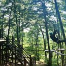 태조산관광지 이미지