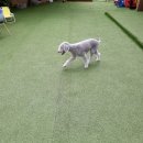 놀고가개 이미지