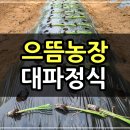 으뜸농장 1 이미지