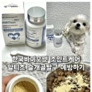 (주)바이오사료연구소 | 강아지관절영양제 한국바이오펫 조인트케어로 말티즈 슬개골탈구 예방하기
