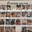 집사의 하루 전포점 네이버블로그
