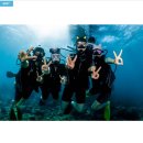 블루핀 | 보라카이 체험다이빙 후기｜첫 스쿠버도 안 무서웠던 블루핀 다이브 센터 후기