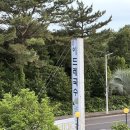 이드레국수 | 제주 중문 보말칼국수 맛집 이드레국수 방문 후기