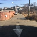주식회사 대지