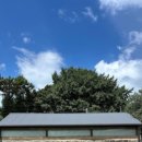 Maple Lodge 이미지